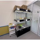 강아지와고양이 이미지