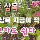 난원예사
