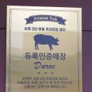 돈짝울산 | *추천* 돈짝 (무거점)