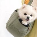 라이크펫 이미지