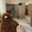 도래울고등학교 이미지