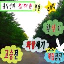향가제작법은 『필사본 화랑세기』를 위서로 판단한다/​필사본 『화랑세기』 진위논쟁 20년, 박창화 위작...