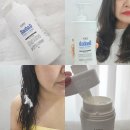 바오밥 | 극손상모 단백질 트리트먼트추천 로픈 바오밥 세라마이드 후기