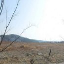 (주)금양소재산업 이미지