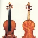 과르네리 이미지