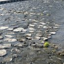 송미네칼국수 이미지