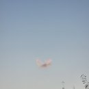 한강 산책 이미지