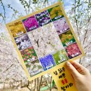 봄꽃에내린단비 이미지