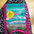 퍼펙트바이트 이미지