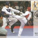 맥시멈 태권도 이미지