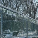 국립공원공단 국립공원야생생물보전원 북부보전센터 이미지