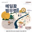 강릉아트센터 대공연장 사임당홀 이미지