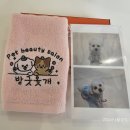 방긋웃개 이미지