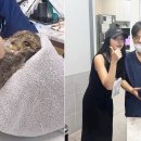 리베동물메디컬센터 이미지