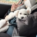 플로라펫 살롱 이미지