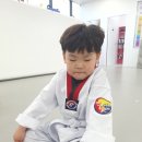 눈부시게 빛나는 태권도장 이미지