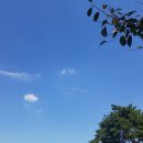 행정사 이기수 사무소 이미지