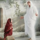 자유인컴퍼니 | 디도서 2장 주석, 2026년 7월 7일, Commentary on Titus 2