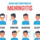 고열과 심한 두통 성인 뇌수막염 원인과 증상, 전염성 이미지