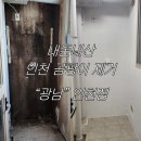 광남이네 | 신혼집 내돈내산 곰팡이제거업체 ‘광남’ 인천점 후기✨ 당일견적, 당일시공