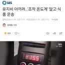 유지비 아끼려…'조작 온도계' 달고 식품 운송 이미지