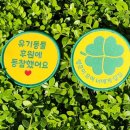 참메디 네이버블로그