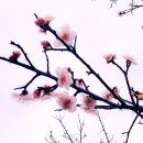 중동공원 이미지