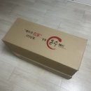 내돈내산 후기: 일월 숲속애 온수매트로 따뜻한 겨울 보내기