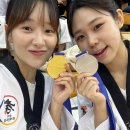 용인대 효 태권도장 이미지
