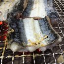 싱싱장어 이미지