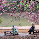 유인목장 이미지