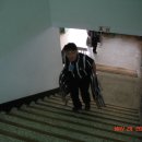 영교4 Daum카페