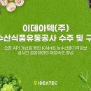 이데아 이미지