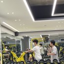 플렌 비 이미지