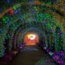 피나클랜드 이미지