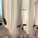 비비왁싱 - 부평구 | 비비왁싱