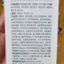 저자극폼클렌징 더블유랩 시카씨 딥 클렌징 폼 사용 후기