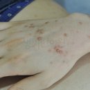 양진한의원 이미지