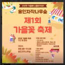 핑크애견 | 용인 자작나무숲 핑크뮬리 명소 정보 애견 동반 후기