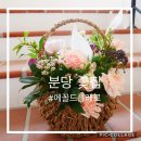 에꼴드플레르