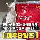모래 | 미우타임즈 더 스탠다드 고양이 모래 후기: 먼지 제로에 응고력까지!