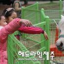 제주해피랜드 이미지
