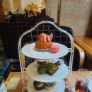 게이오 플라자 호텔 하치오지(Keio Plaza Hotel Hachioji) 로비 라운지(Lobby Lounge) 애프터눈티