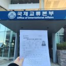 11월 일기