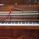 죽림마을 이미지