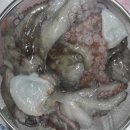 소라랑문어랑 이미지