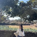 협재차경별뉘 | 제주도 협재 통창숙소 ‘협재차경별뉘‘ stay C 숙박후기 : 10만원대 숙소