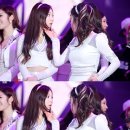 꽁냥꽁냥 이미지