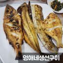 영애네 생선구이 | 강원도 고성 대진항맛집 영애네생선구이