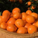 주생농장 이미지